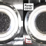 RNA RYGU
