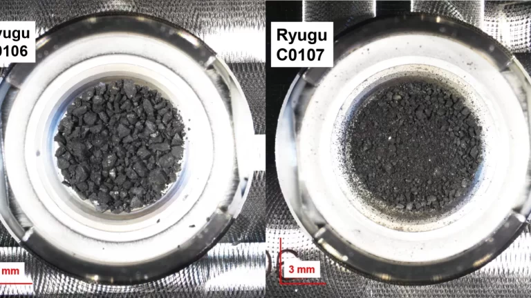 RNA RYGU